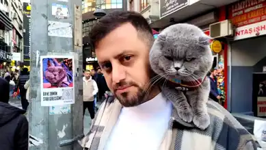 Trabzonsporlu Taraftarın Kedisi 'Tom' Stada Girmek İstiyor!