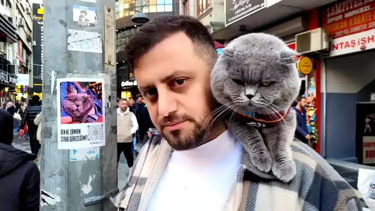 Trabzonsporlu Taraftarın Kedisi 'Tom' Stada Girmek İstiyor!